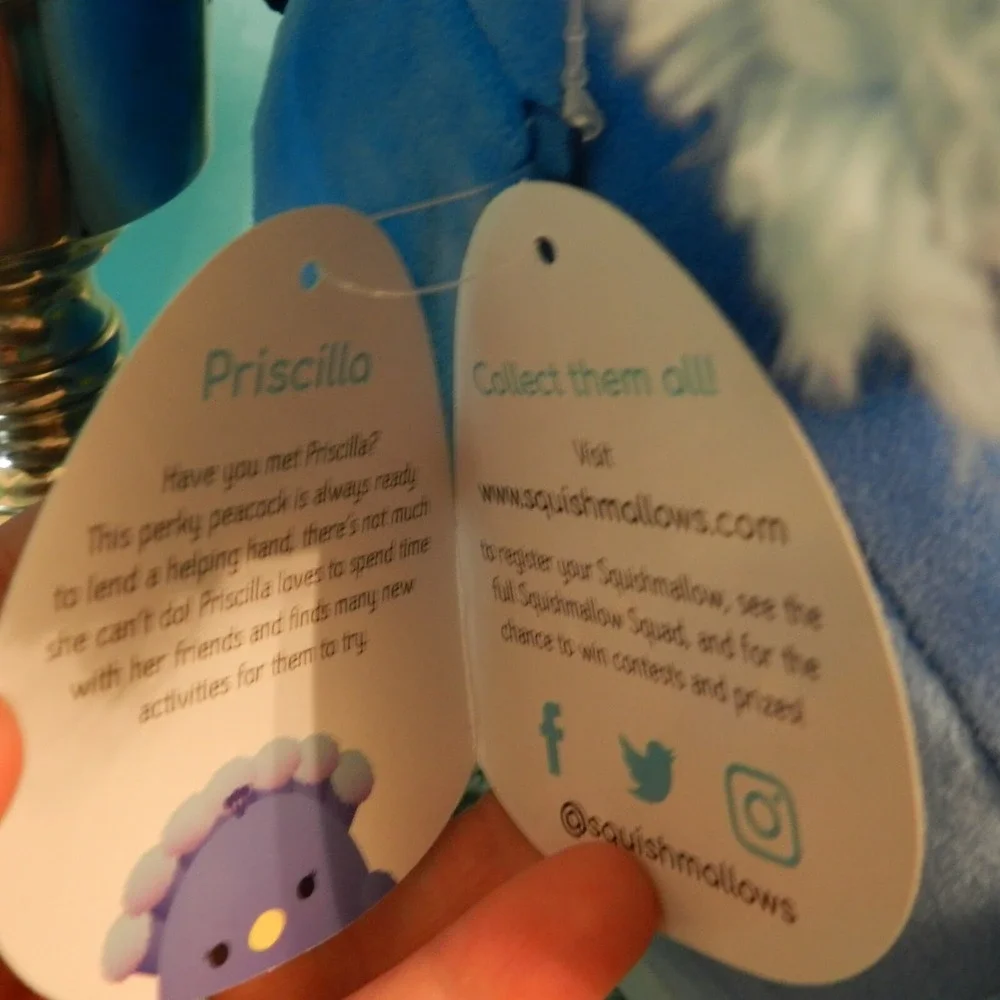 NWT Squishmallow 8